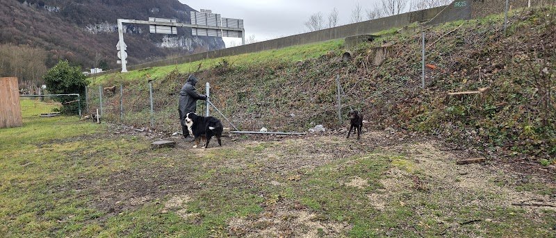 Entente Canine Etrembieres - photo 2