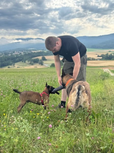 Seconde Patte – Éducation Canine Genève et Haute-Savoie - photo 1