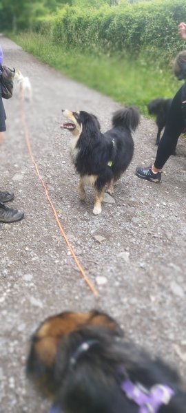 EVEIL CANIN (ex Great Anim's) - photo 3