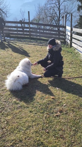 ADC Education Canine - Éducateur canin - photo 3