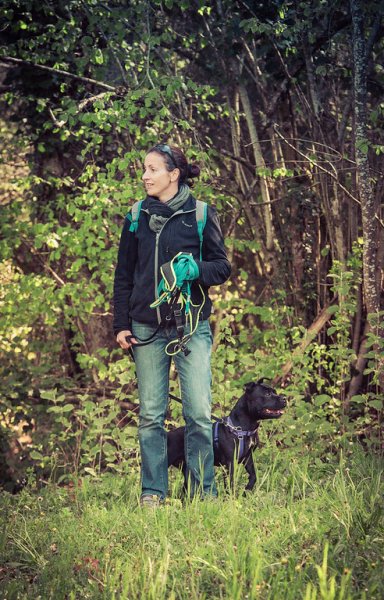 Amicanis, éducation canine