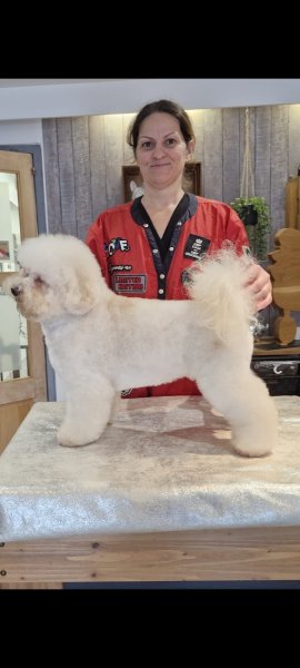 Salon de toilettage- L'instant Canin ~Vente cosmétiques -Brosse-parfumerie..