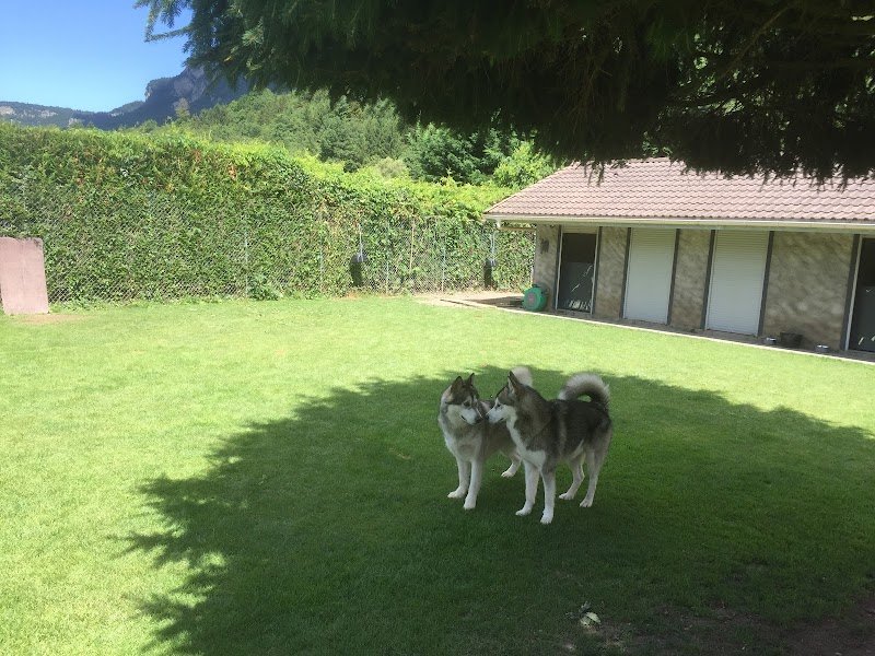 DOG CENTER les Millieres - photo 2