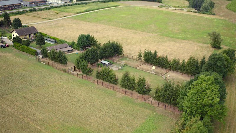 DOG CENTER les Millieres - photo 3