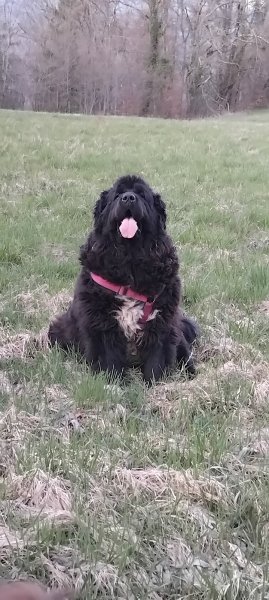 Val-Educ-Canin - photo 2