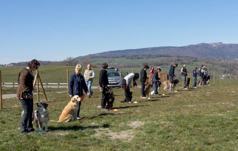 A'Croc Chien 74 - photo 1