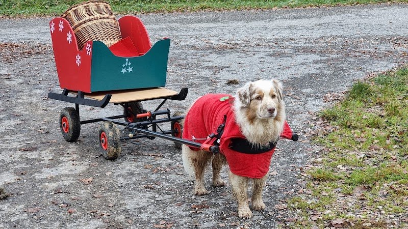 A'Croc Chien 74 - photo 2