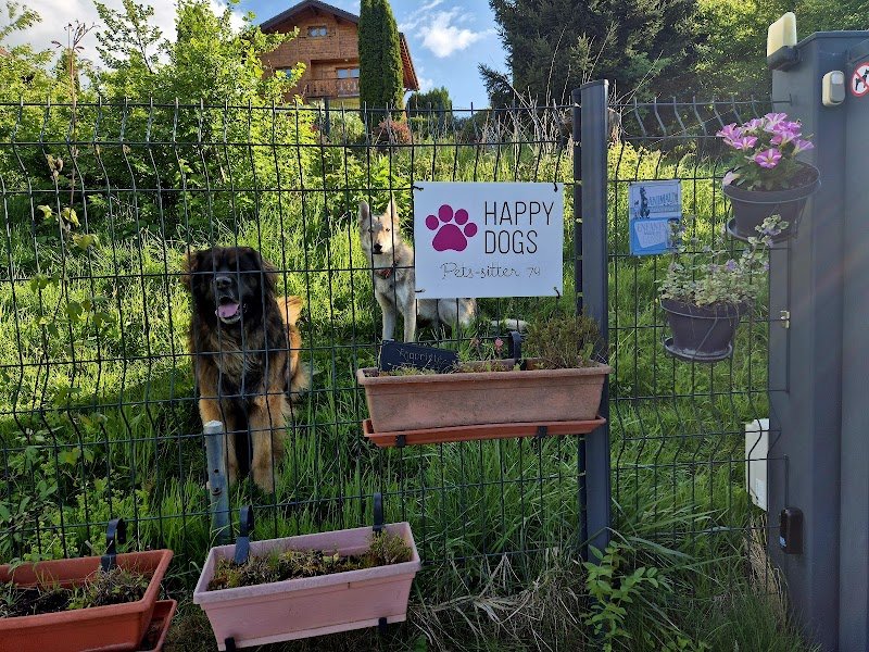 Happy Dog Pets-sitter - photo 1