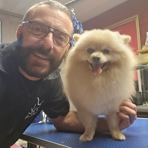 DOGGYDOUX TOILETTAGE - photo 1