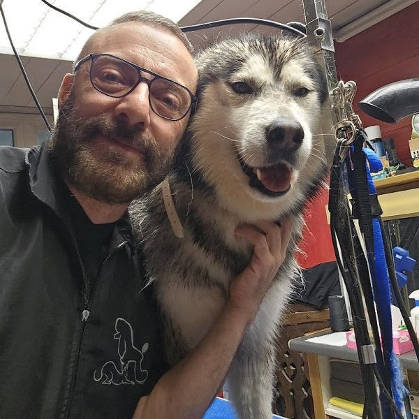 DOGGYDOUX TOILETTAGE - photo 2