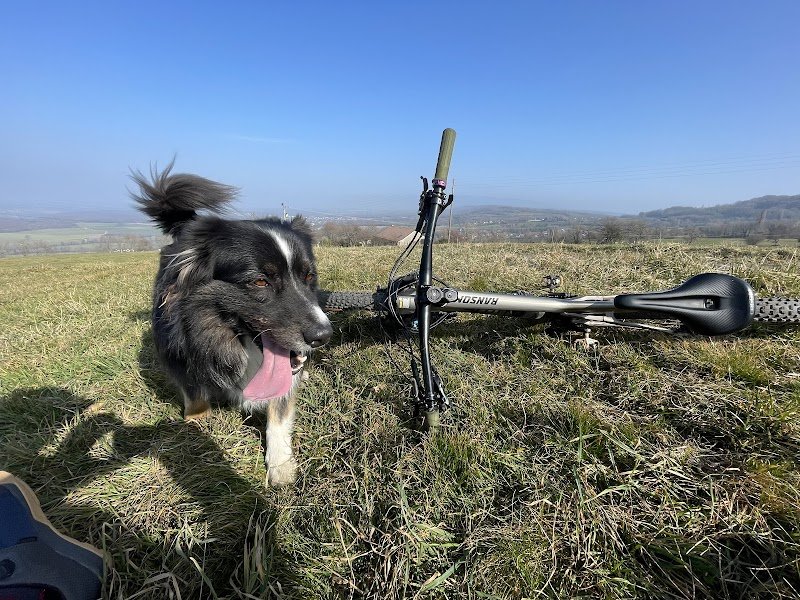 Wheels, Dogs & Art Jeanette Leitgeb - photo 3