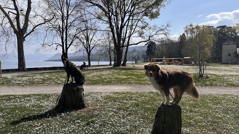 The dog 74 -Éducateur canin Haute-Savoie - photo 2