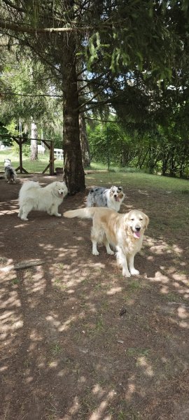 Eti’n’Dog - photo 1