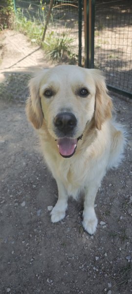 Eti’n’Dog - photo 3