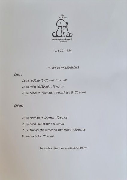 Elo cats and dogs ( pet sitter) - photo 1