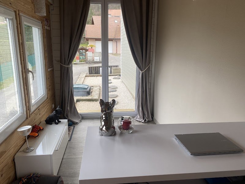 Essentiel Dog - photo 1