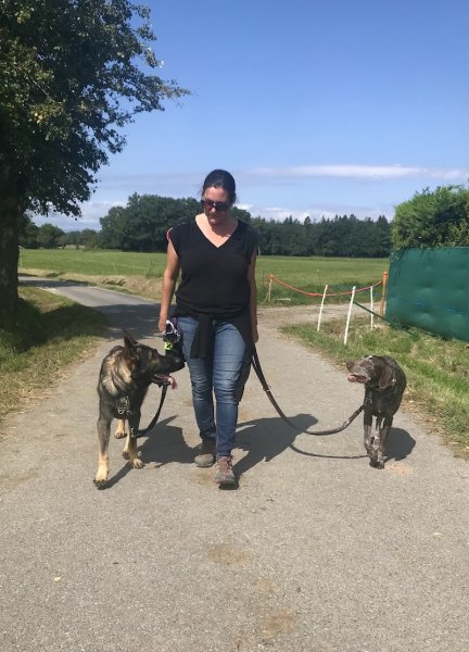 Les chiens parlent - éducation et comportement canin - photo 1