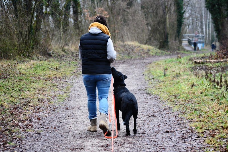 copain canin 74 - photo 2