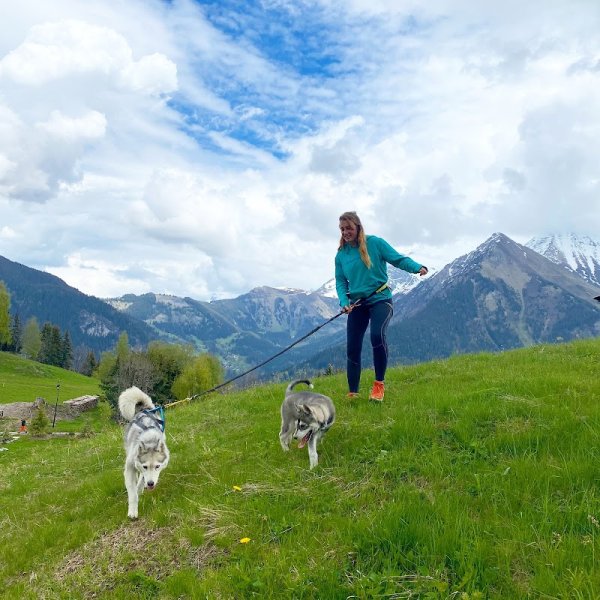 Antarctic Road | Sled Dog & Travel Dog | Traineau à chiens & Cani-balade