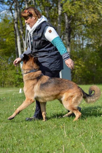 CACT | Club Annécien du Chien de Travail - photo 2