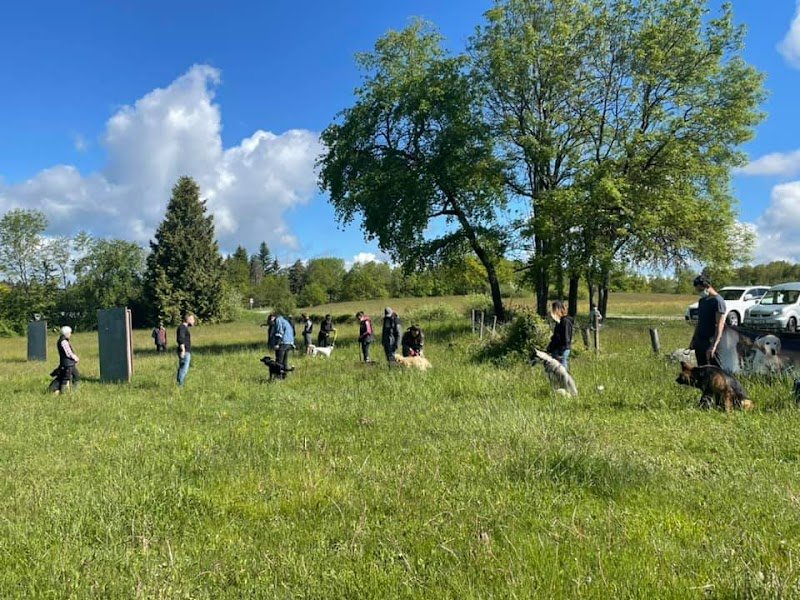 CACT | Club Annécien du Chien de Travail - photo 3