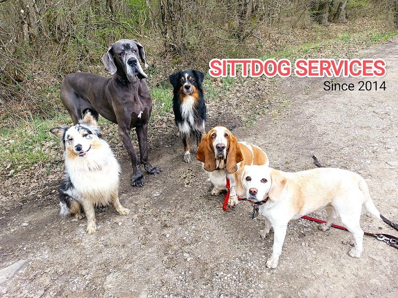 Sittdog Services - photo 1