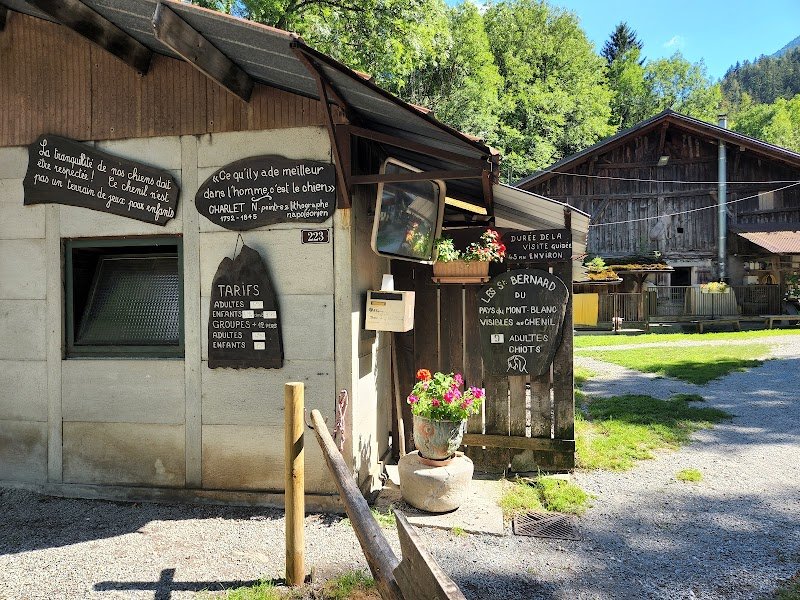 PENSION CANINE TOUTES RACES - Elevage de Saint-Bernard et Bull Terrier du Pays du Mont-Blanc - - photo 3