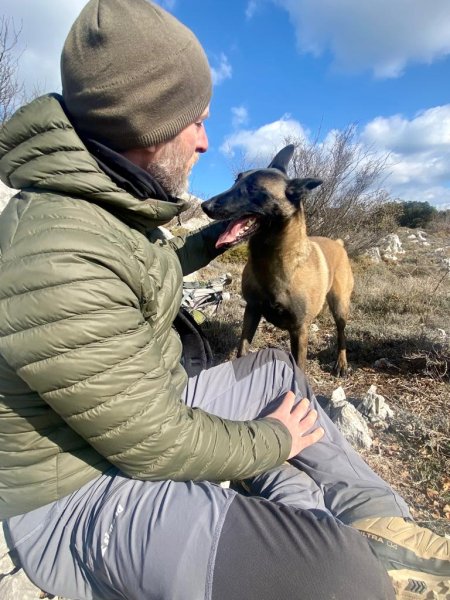 altitude dog - photo 3