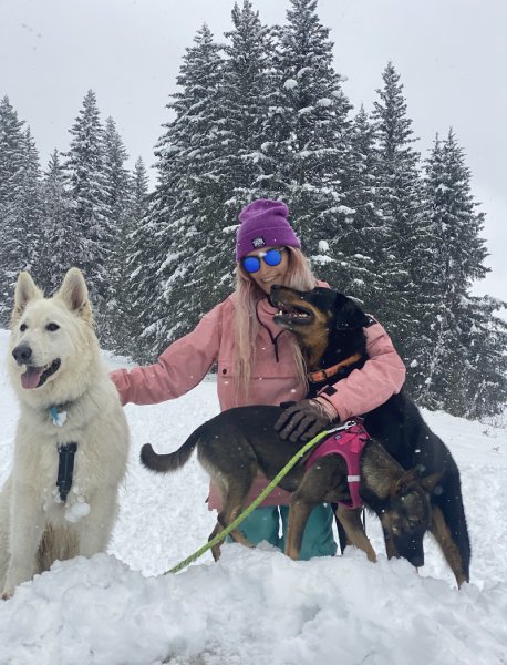 DOGGY DES ARAVIS (Promenade pour Chien & Garde d'Animaux)
