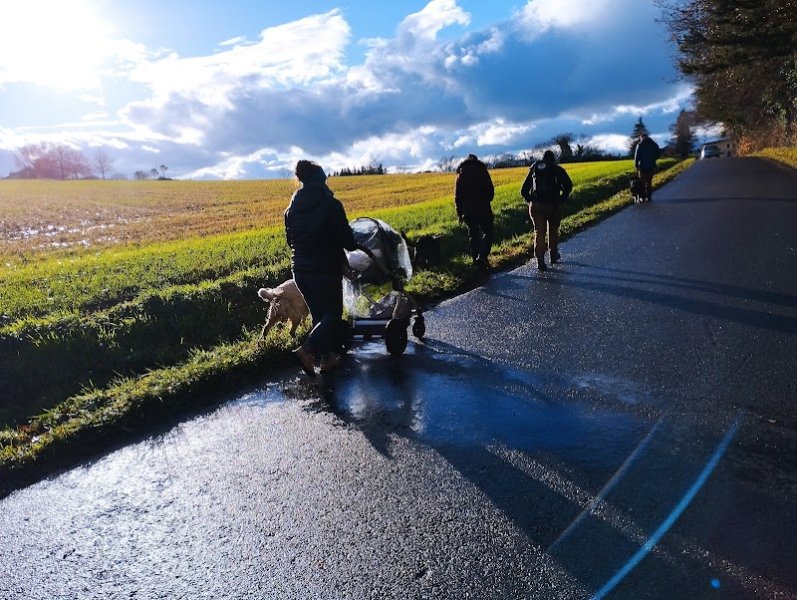 Pat’ à Chiens – Pension canine professionnelle en Haute-Savoie - photo 2