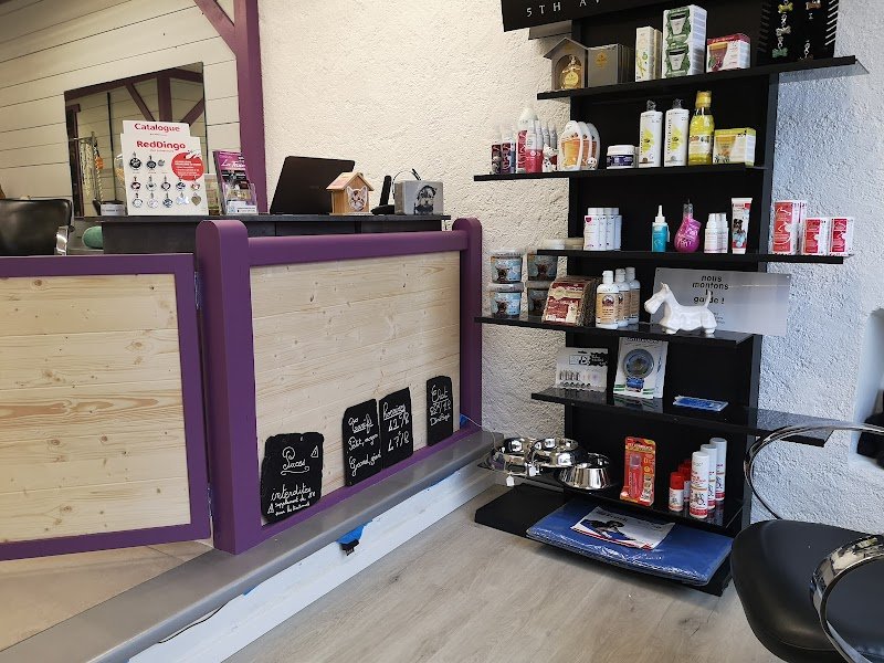 Le Salon d'Emilie, toilettage Canin et félin - photo 3