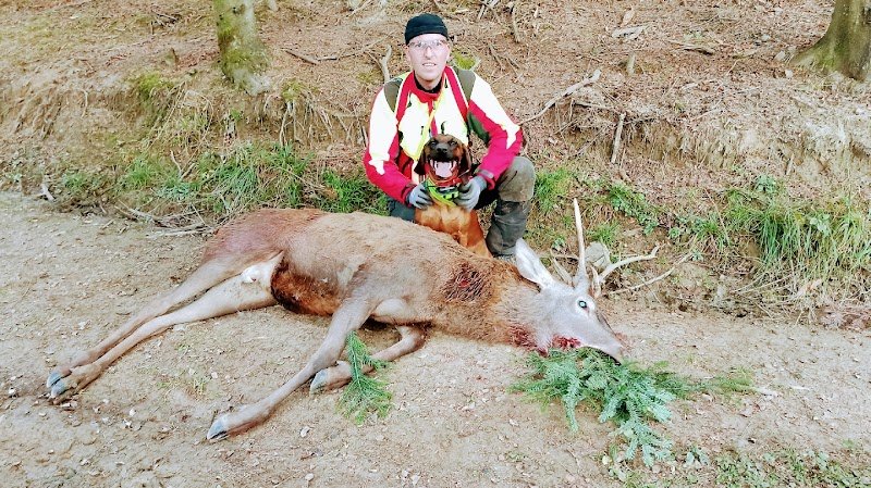 Conducteur de chien de sang, Haute-Savoie 74