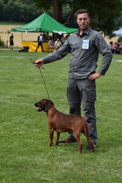 Conducteur de chien de sang, Haute-Savoie 74 - photo 2