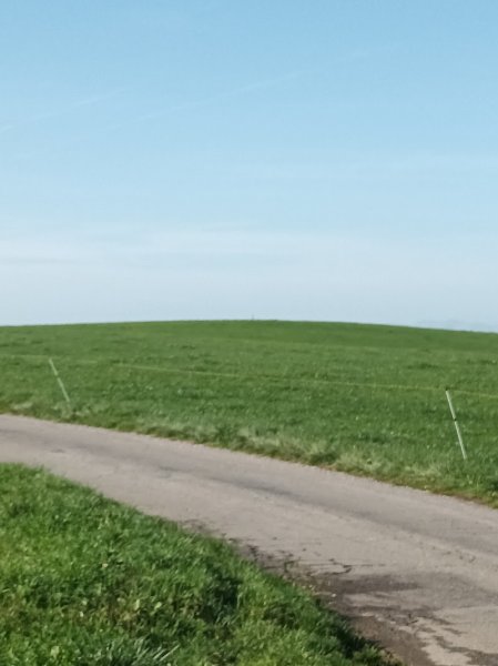 Pension canine CHEZ NOUS - photo 3