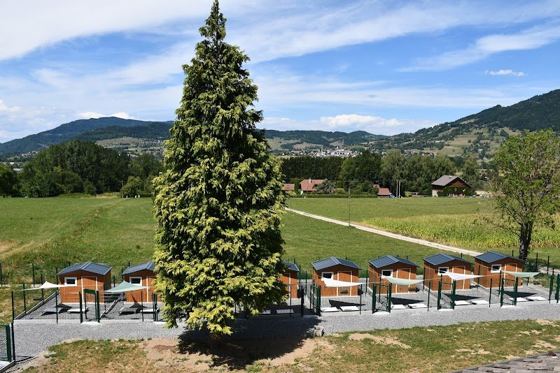 Pension Canine Bel Horizon - photo 1