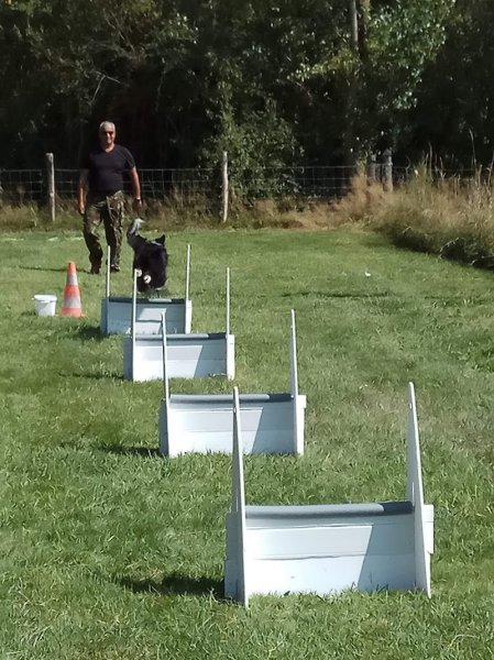Club Canin de la Tour d'Ariège - photo 1