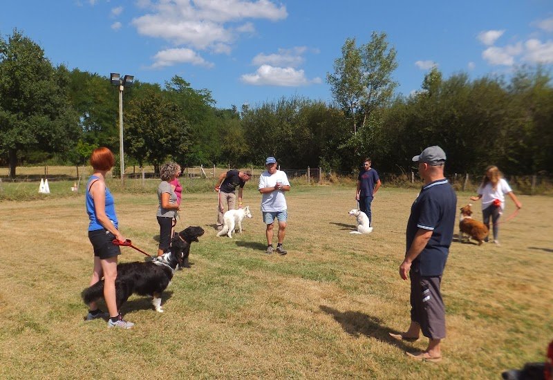 Club Canin de la Tour d'Ariège - photo 2