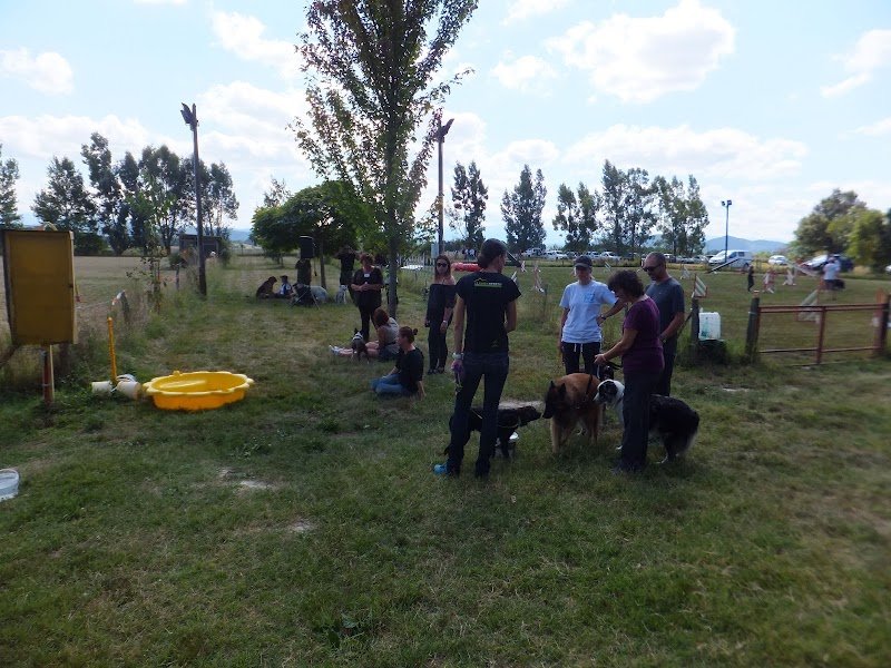 Club Canin de la Tour d'Ariège - photo 3