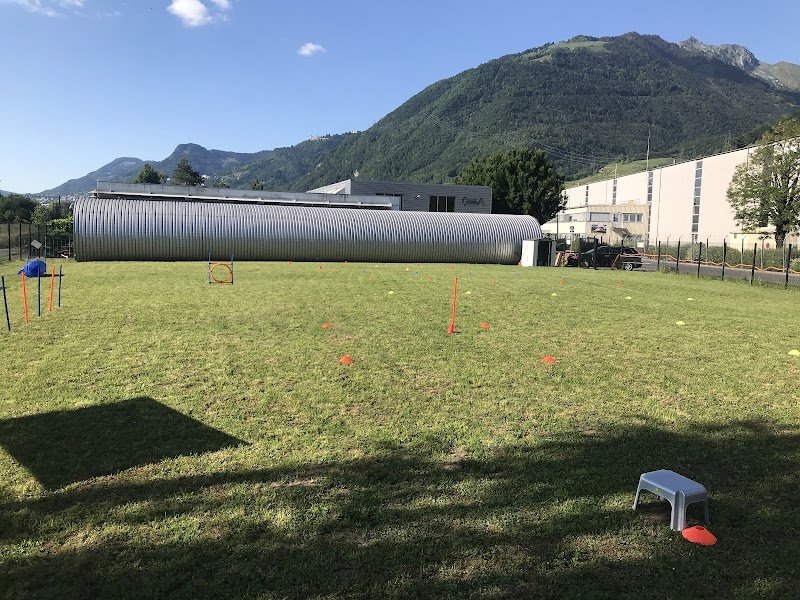 EducMalin - Éducateur Canin - Cours chiens - photo 1