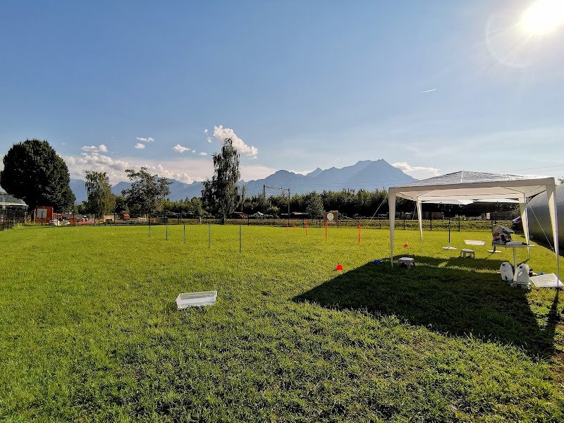 EducMalin - Éducateur Canin - Cours chiens - photo 2