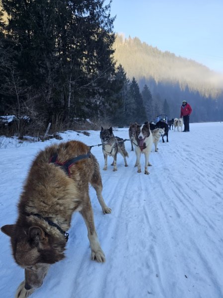 Parc du Chien Polaire