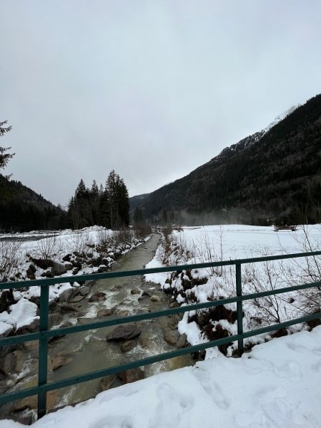 Parc du Chien Polaire - photo 3
