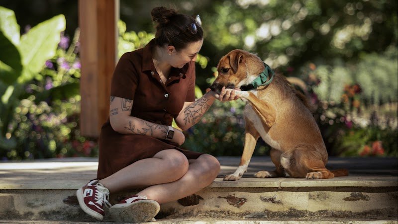 Eloïse - Educatrice et Conseillère en Comportement Canin