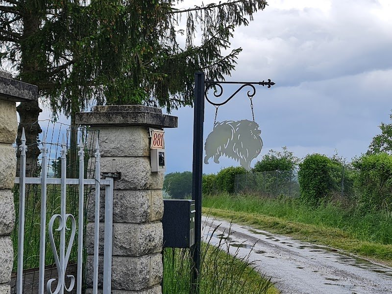 Pension pour chien - photo 1