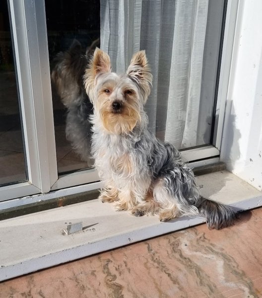 EDUCANIN SENART - photo 2