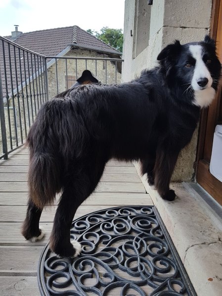 Misskcanin - photo 3