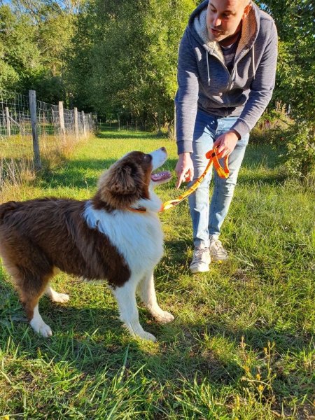 Éducateur canin - photo 2
