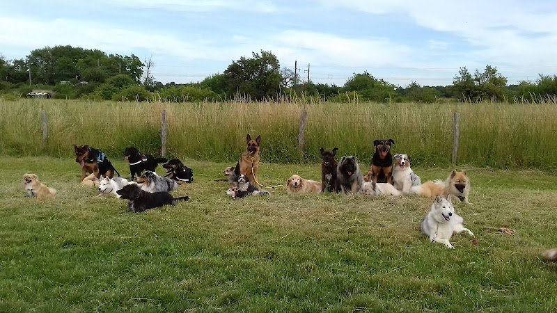 Virginie CUISINIER éducateur canin - photo 2