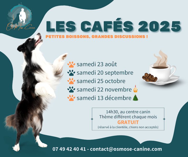 Os’Mose Canine - Éducation moderne et respectueuse - photo 2