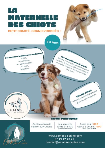 Os’Mose Canine - Éducation moderne et respectueuse - photo 3